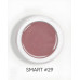 DARK Smart Builder Gel 29, 15 мл
