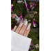 Pinx Gel polish Cat Eye Dimension 002, 8 мл