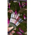 Pinx Gel polish Cat Eye Dimension 007, 8 мл Pinx Gel polish Cat Eye Dimension 007, 8 мл